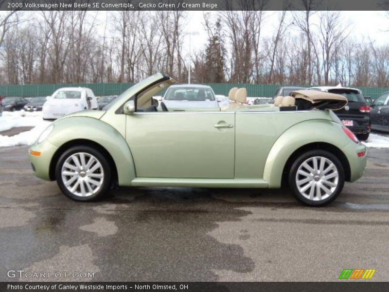 Gecko Green / Cream Beige 2008 Volkswagen New Beetle SE Convertible