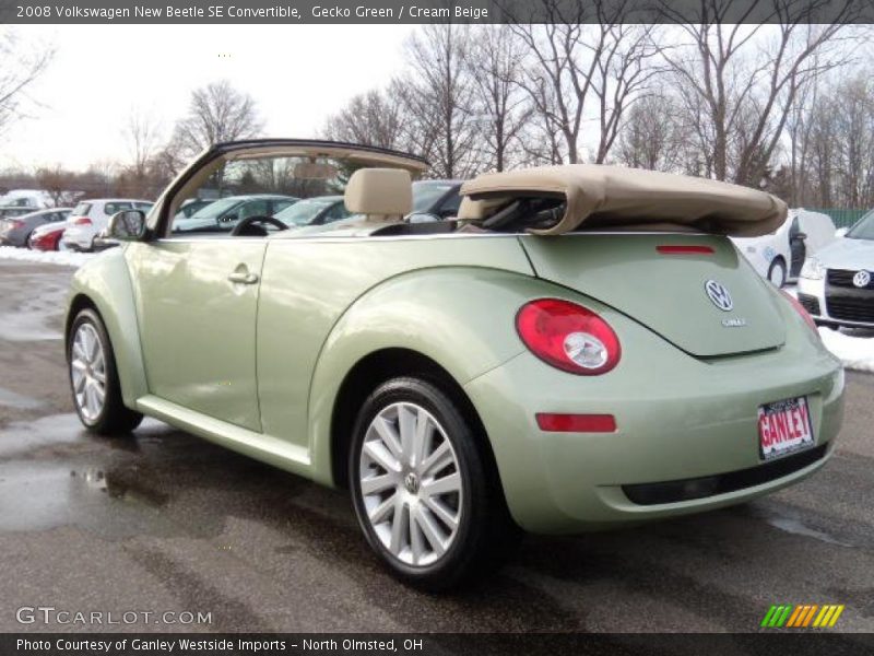 Gecko Green / Cream Beige 2008 Volkswagen New Beetle SE Convertible