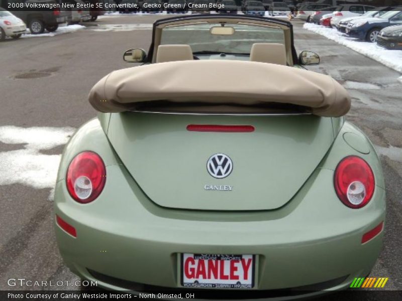 Gecko Green / Cream Beige 2008 Volkswagen New Beetle SE Convertible