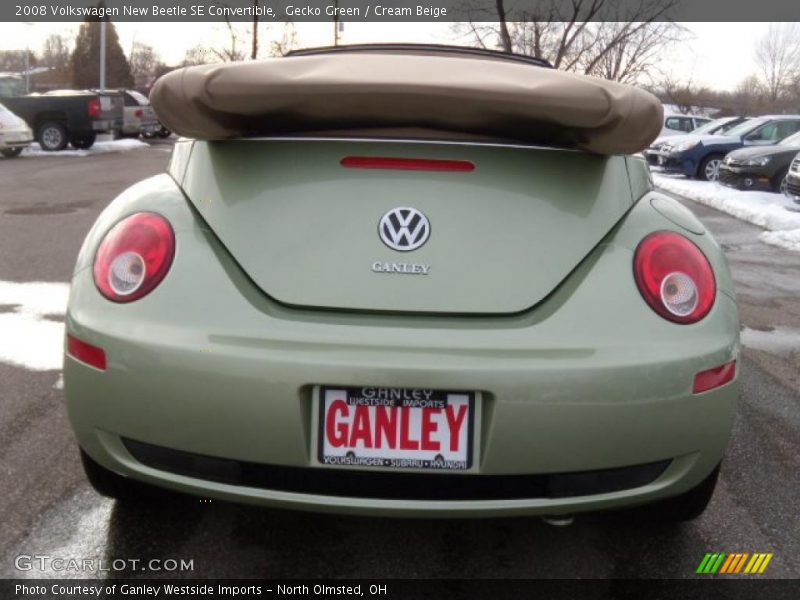 Gecko Green / Cream Beige 2008 Volkswagen New Beetle SE Convertible
