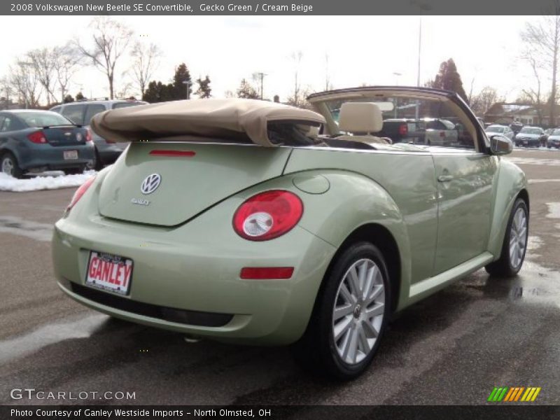 Gecko Green / Cream Beige 2008 Volkswagen New Beetle SE Convertible