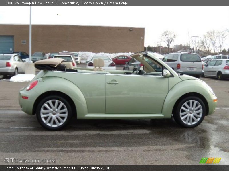 Gecko Green / Cream Beige 2008 Volkswagen New Beetle SE Convertible