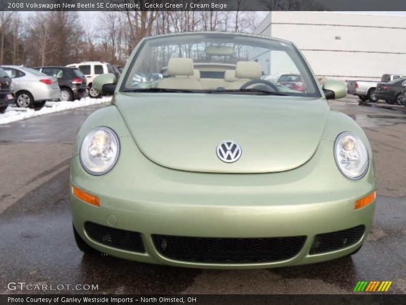 Gecko Green / Cream Beige 2008 Volkswagen New Beetle SE Convertible