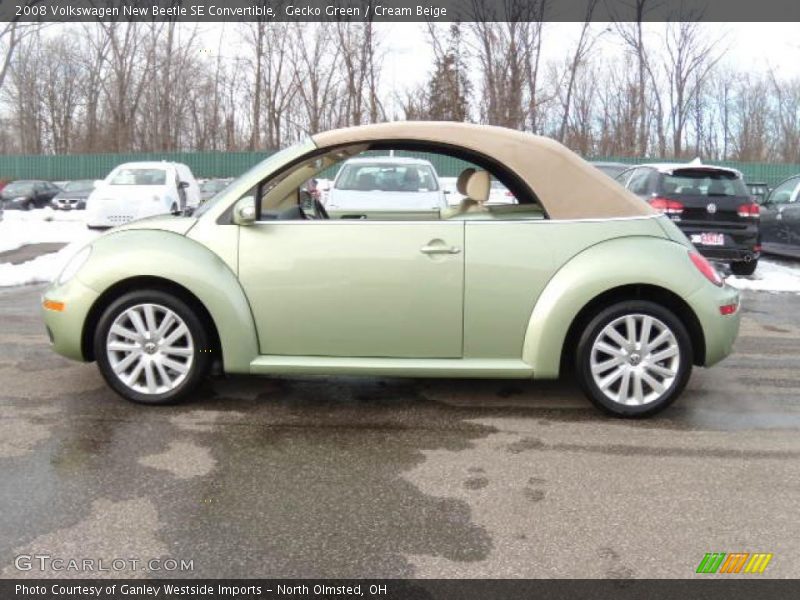 Gecko Green / Cream Beige 2008 Volkswagen New Beetle SE Convertible