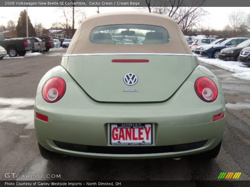 Gecko Green / Cream Beige 2008 Volkswagen New Beetle SE Convertible