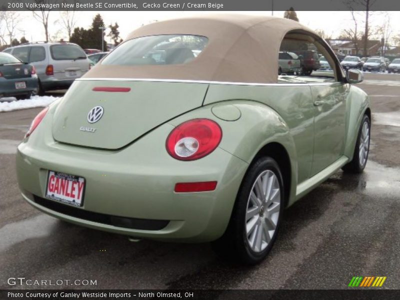 Gecko Green / Cream Beige 2008 Volkswagen New Beetle SE Convertible