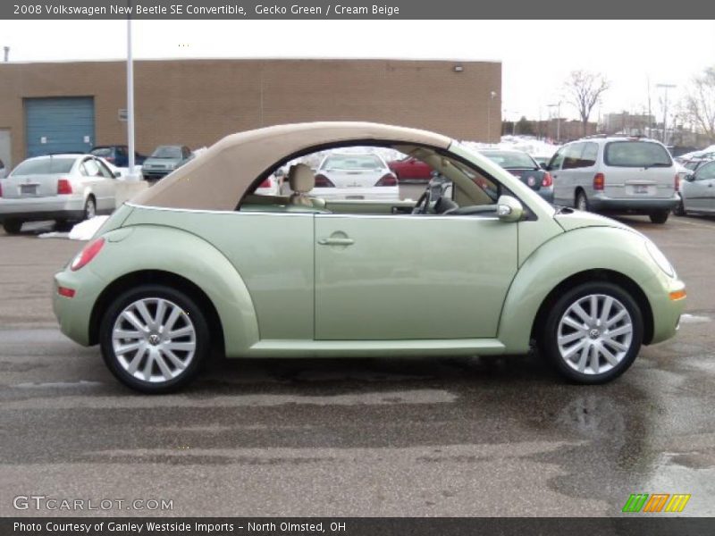 Gecko Green / Cream Beige 2008 Volkswagen New Beetle SE Convertible