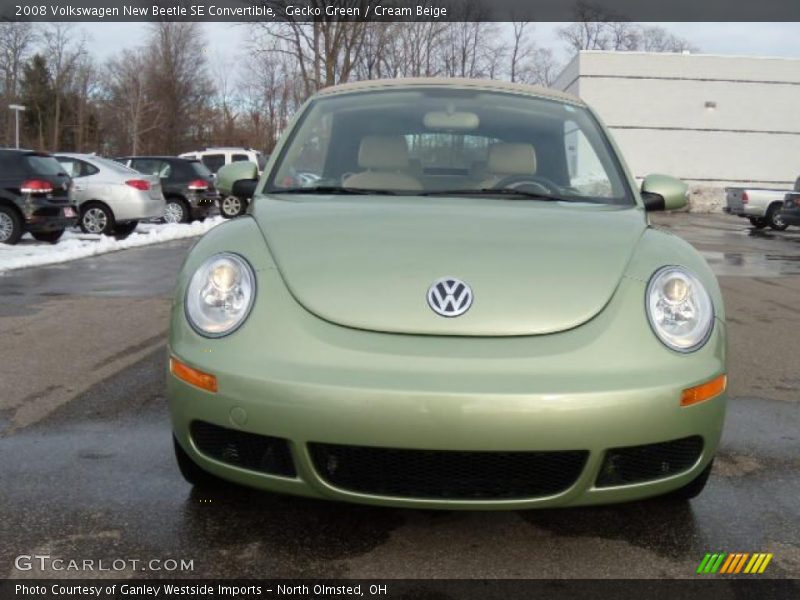 Gecko Green / Cream Beige 2008 Volkswagen New Beetle SE Convertible