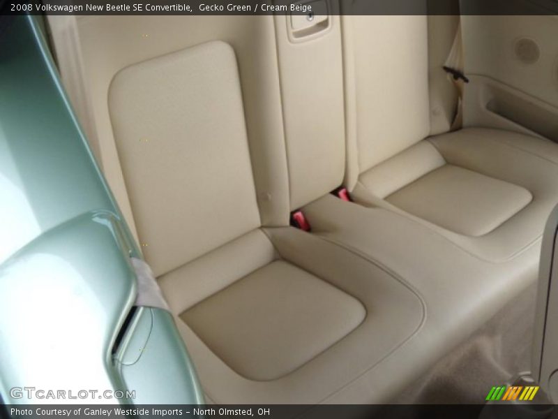 Gecko Green / Cream Beige 2008 Volkswagen New Beetle SE Convertible
