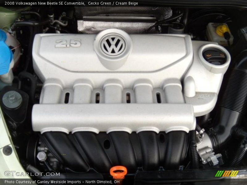 Gecko Green / Cream Beige 2008 Volkswagen New Beetle SE Convertible