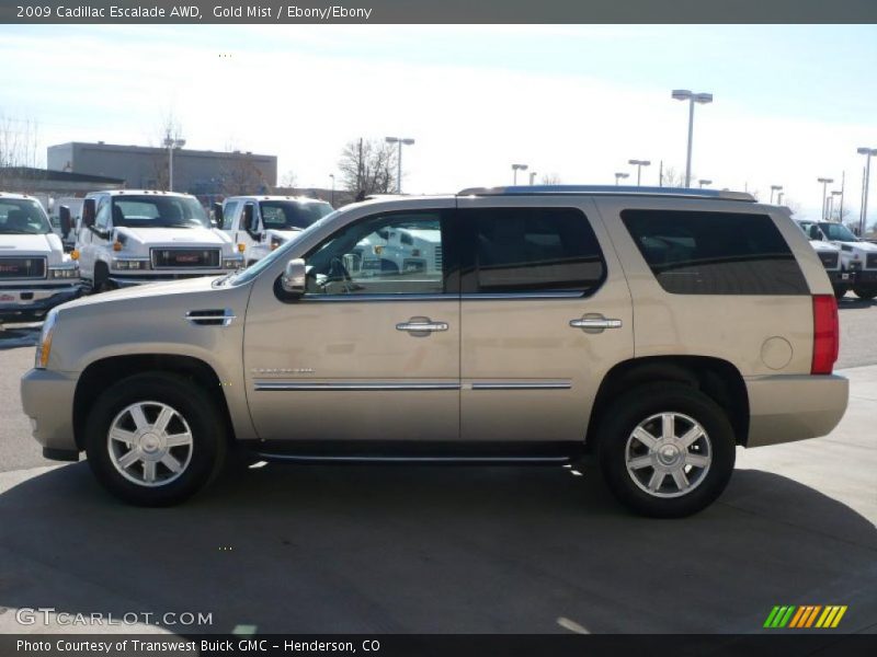 Gold Mist / Ebony/Ebony 2009 Cadillac Escalade AWD
