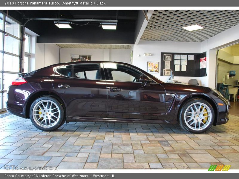 Amethyst Metallic / Black 2010 Porsche Panamera Turbo