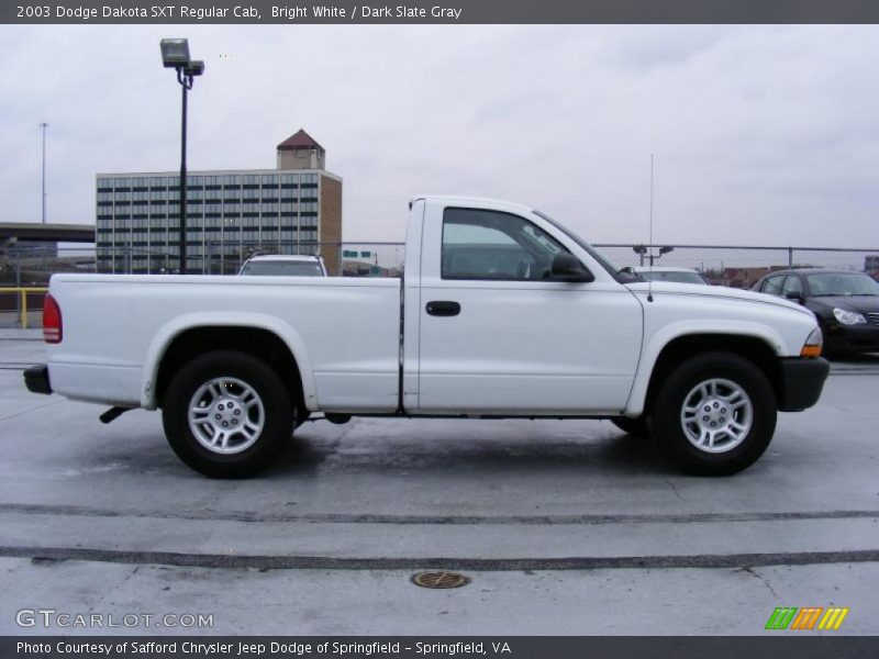 Bright White / Dark Slate Gray 2003 Dodge Dakota SXT Regular Cab