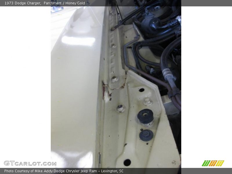 Parchment / Honey Gold 1973 Dodge Charger