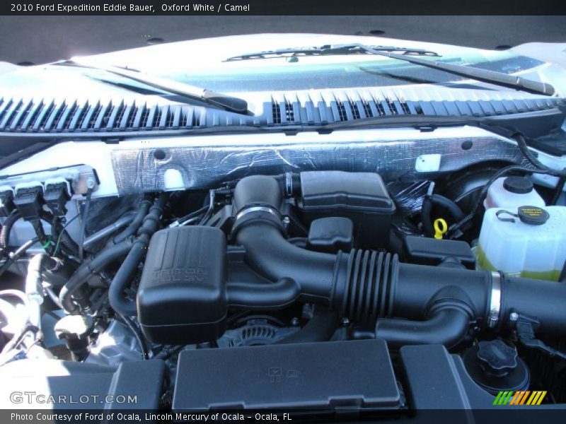 Oxford White / Camel 2010 Ford Expedition Eddie Bauer
