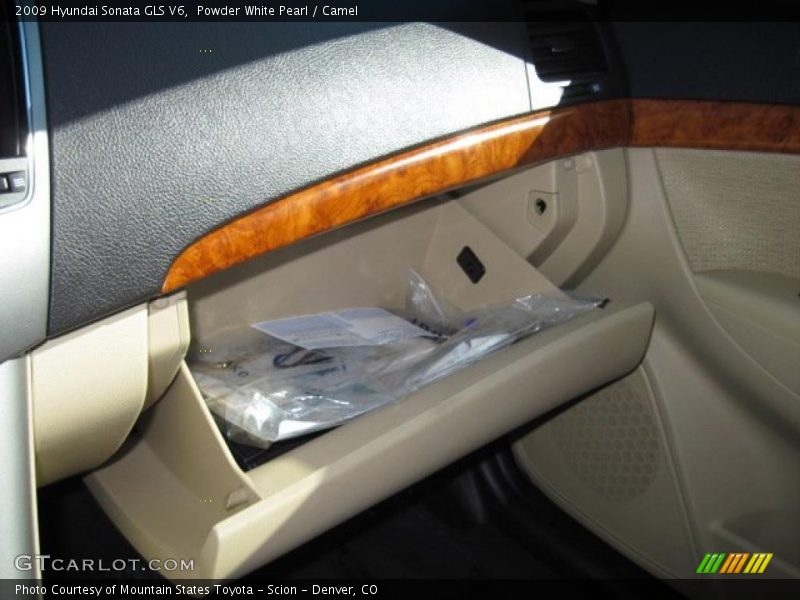 Powder White Pearl / Camel 2009 Hyundai Sonata GLS V6