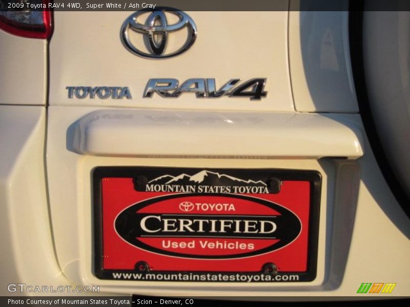 Super White / Ash Gray 2009 Toyota RAV4 4WD