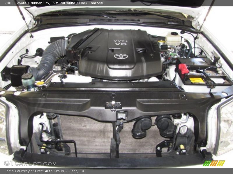 Natural White / Dark Charcoal 2005 Toyota 4Runner SR5