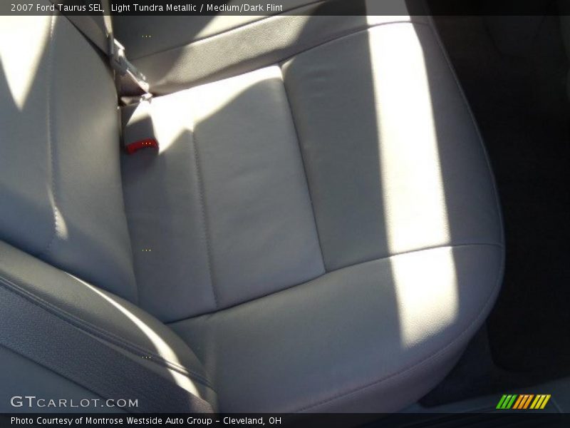 Light Tundra Metallic / Medium/Dark Flint 2007 Ford Taurus SEL