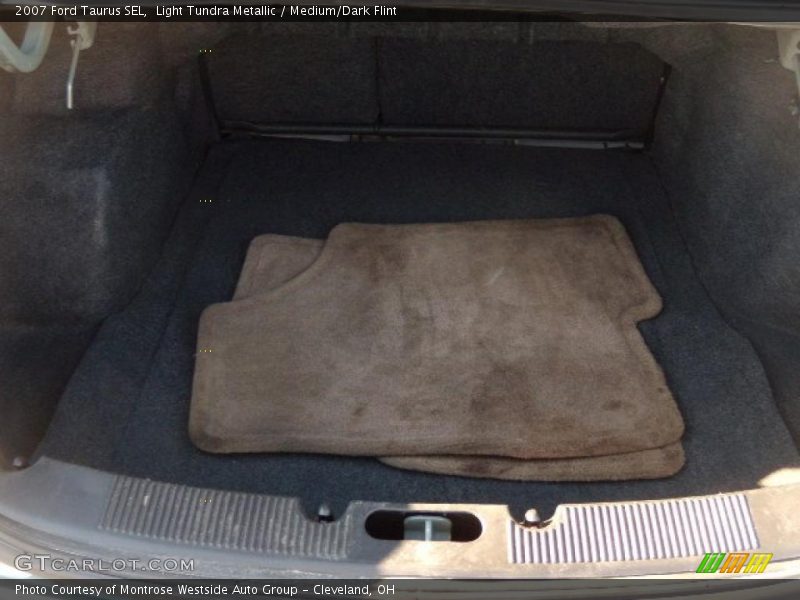 Light Tundra Metallic / Medium/Dark Flint 2007 Ford Taurus SEL