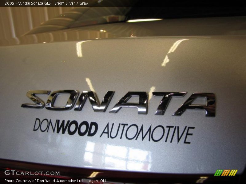 Bright Silver / Gray 2009 Hyundai Sonata GLS