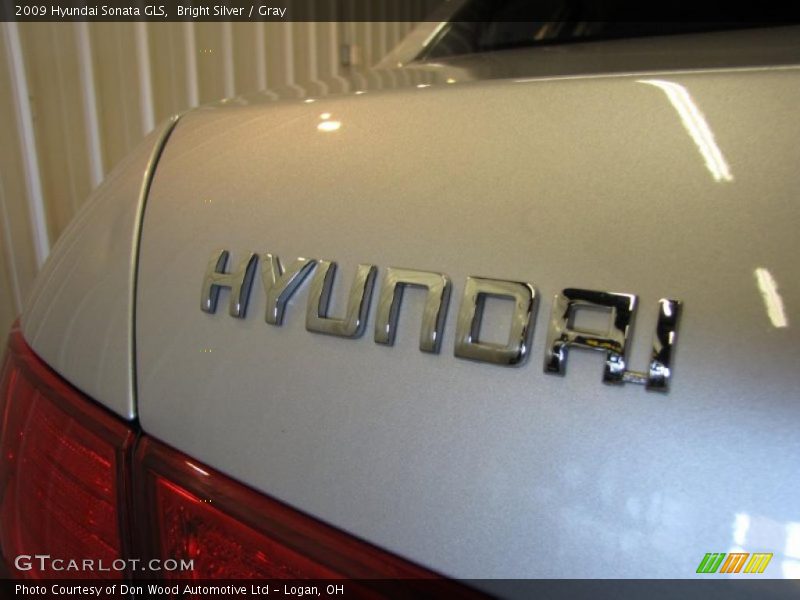Bright Silver / Gray 2009 Hyundai Sonata GLS