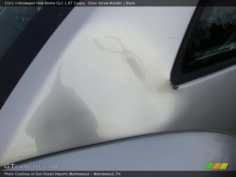 Silver Arrow Metallic / Black 2001 Volkswagen New Beetle GLX 1.8T Coupe