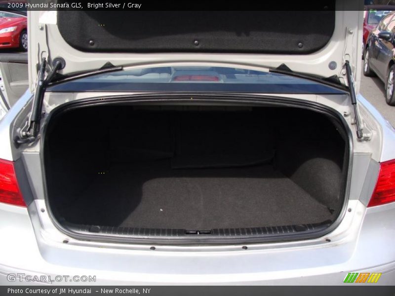 Bright Silver / Gray 2009 Hyundai Sonata GLS
