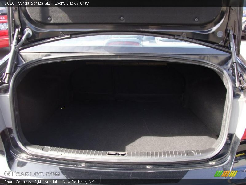 Ebony Black / Gray 2010 Hyundai Sonata GLS