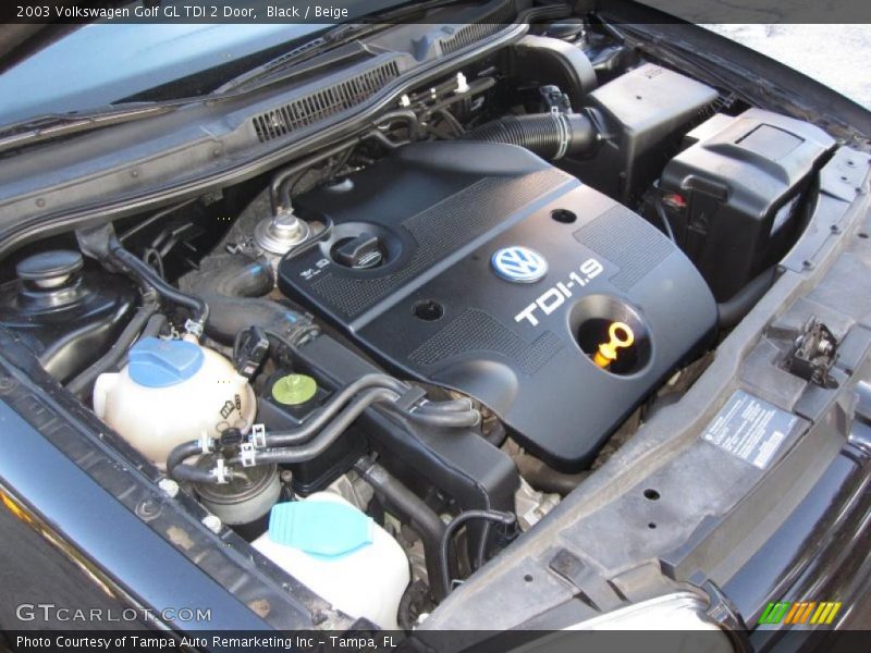 Black / Beige 2003 Volkswagen Golf GL TDI 2 Door