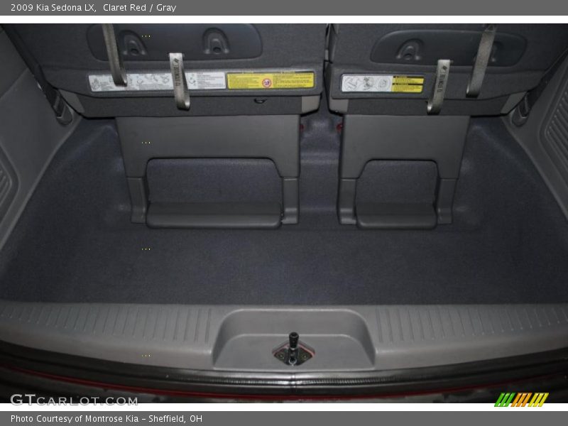 Claret Red / Gray 2009 Kia Sedona LX