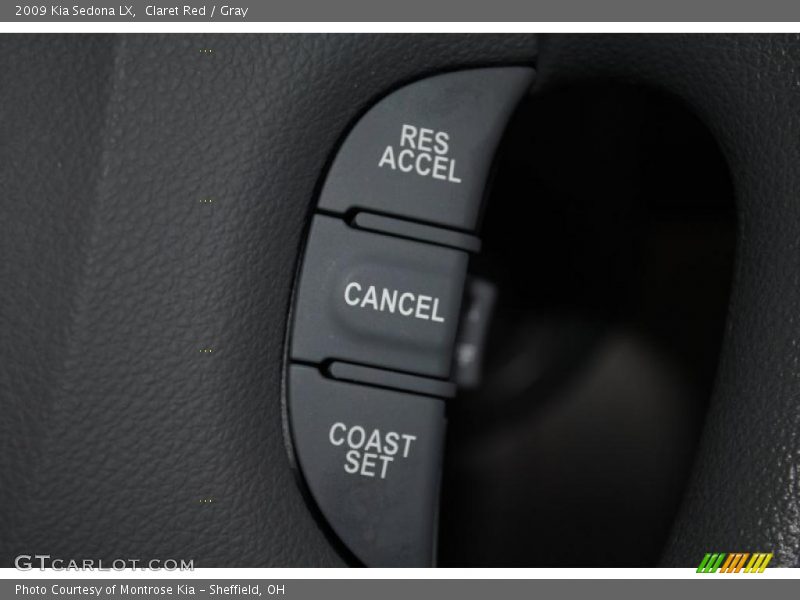 Claret Red / Gray 2009 Kia Sedona LX