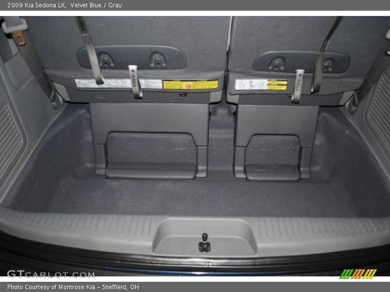 Velvet Blue / Gray 2009 Kia Sedona LX