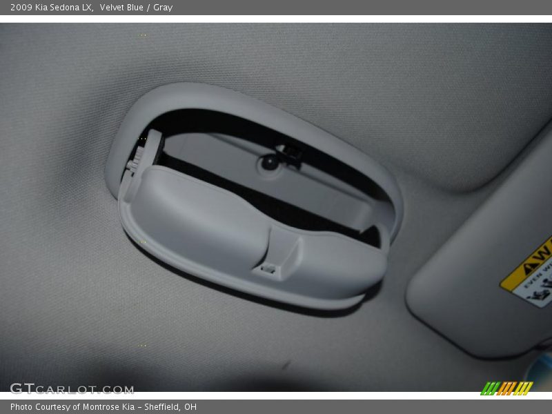 Velvet Blue / Gray 2009 Kia Sedona LX