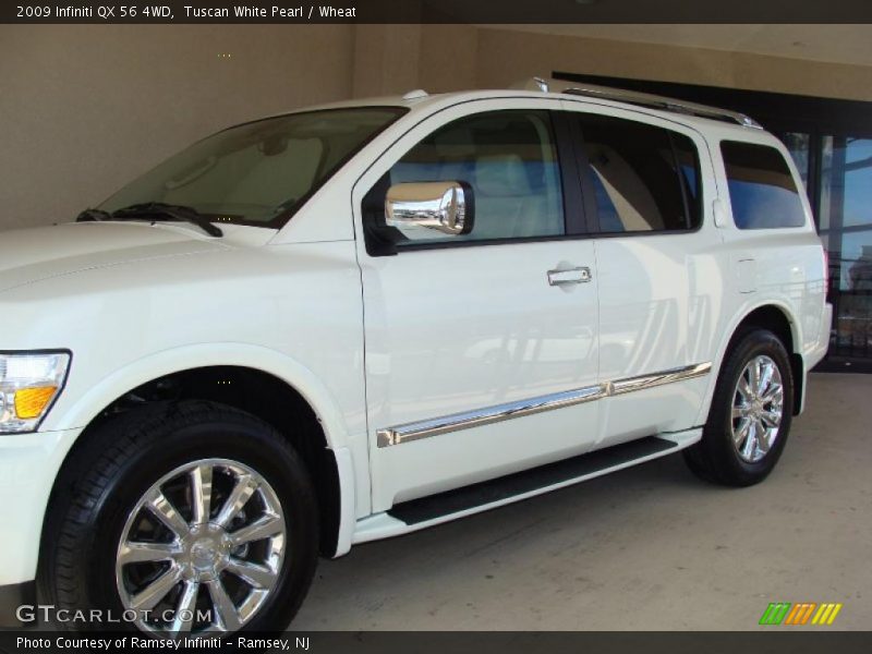 Tuscan White Pearl / Wheat 2009 Infiniti QX 56 4WD