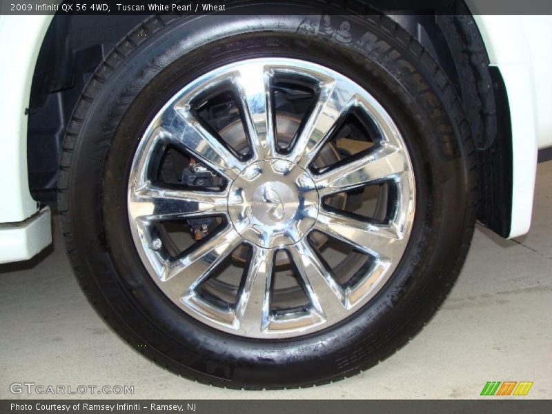 Tuscan White Pearl / Wheat 2009 Infiniti QX 56 4WD