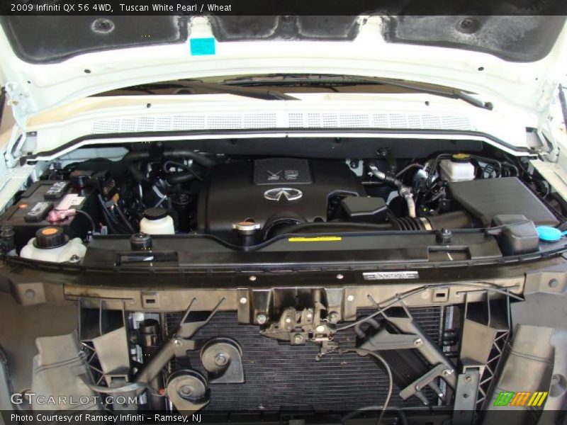 Tuscan White Pearl / Wheat 2009 Infiniti QX 56 4WD