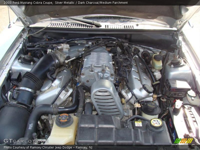 Silver Metallic / Dark Charcoal/Medium Parchment 2003 Ford Mustang Cobra Coupe
