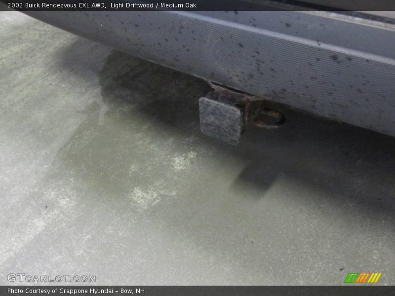 Light Driftwood / Medium Oak 2002 Buick Rendezvous CXL AWD