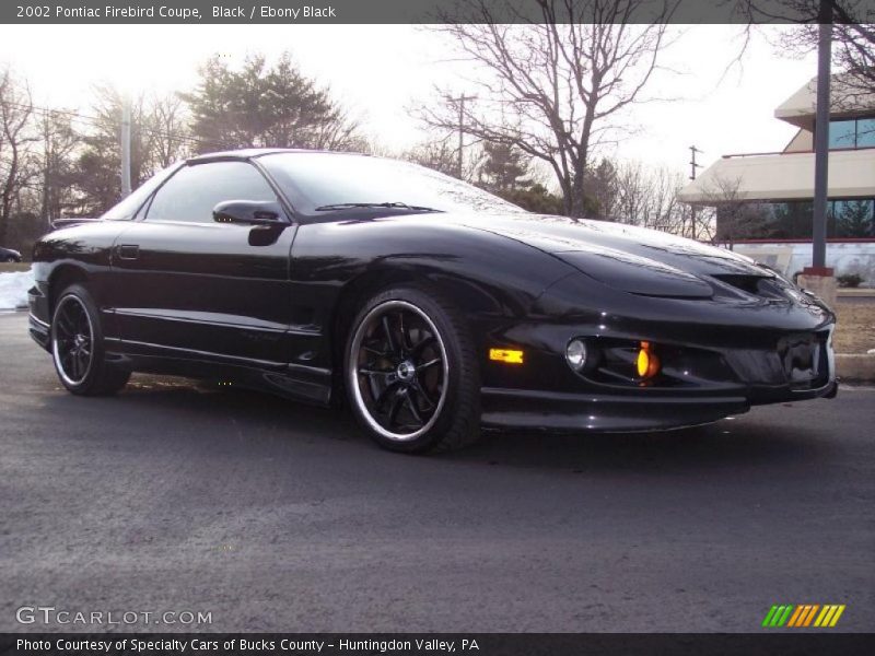 Black / Ebony Black 2002 Pontiac Firebird Coupe