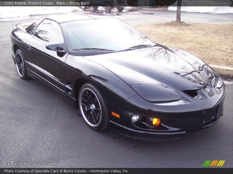 Black / Ebony Black 2002 Pontiac Firebird Coupe