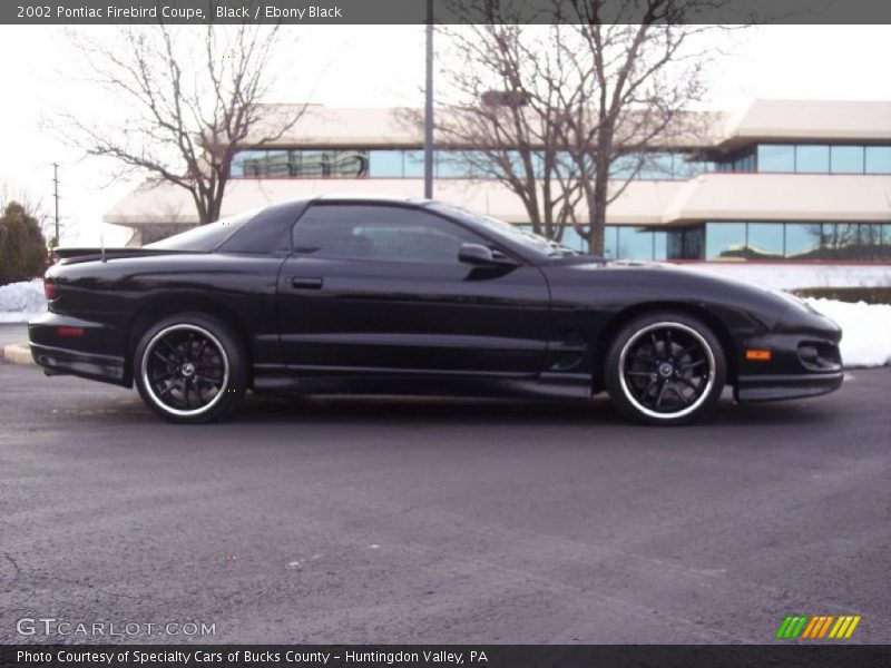 Black / Ebony Black 2002 Pontiac Firebird Coupe