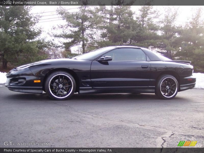 Black / Ebony Black 2002 Pontiac Firebird Coupe