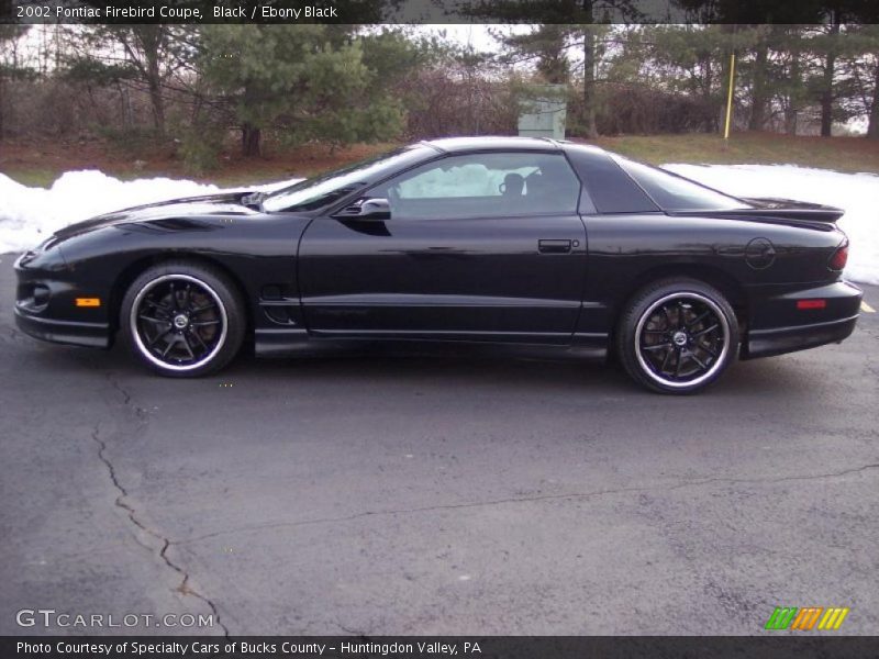 Black / Ebony Black 2002 Pontiac Firebird Coupe