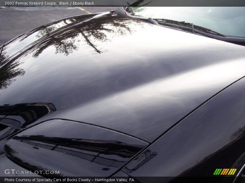 Black / Ebony Black 2002 Pontiac Firebird Coupe