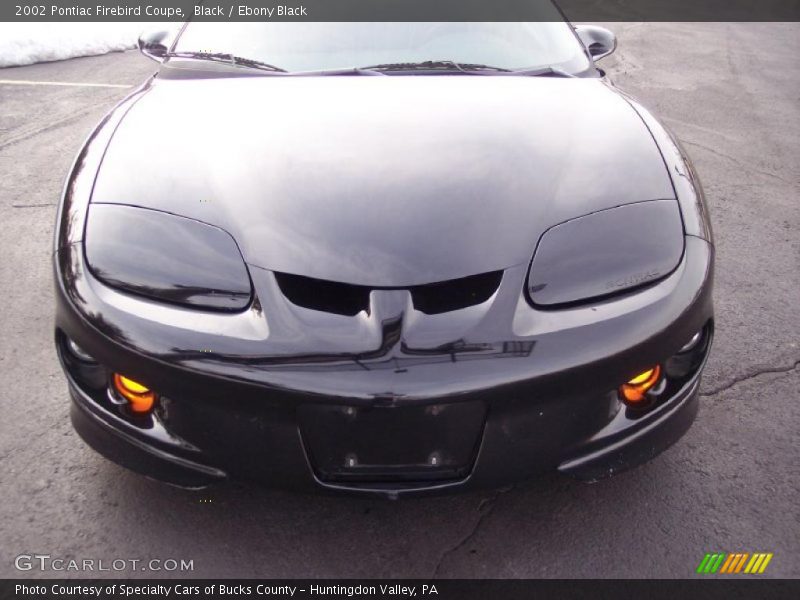Black / Ebony Black 2002 Pontiac Firebird Coupe