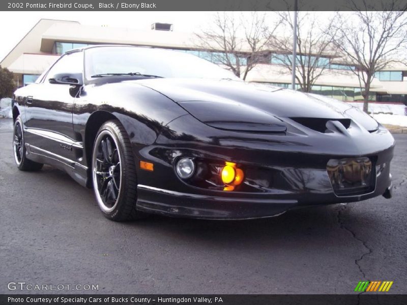 Black / Ebony Black 2002 Pontiac Firebird Coupe