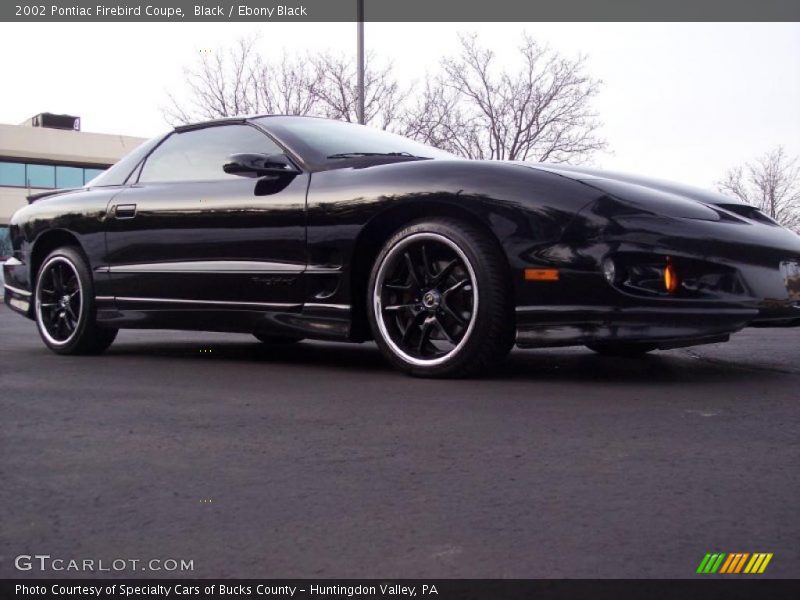 Black / Ebony Black 2002 Pontiac Firebird Coupe