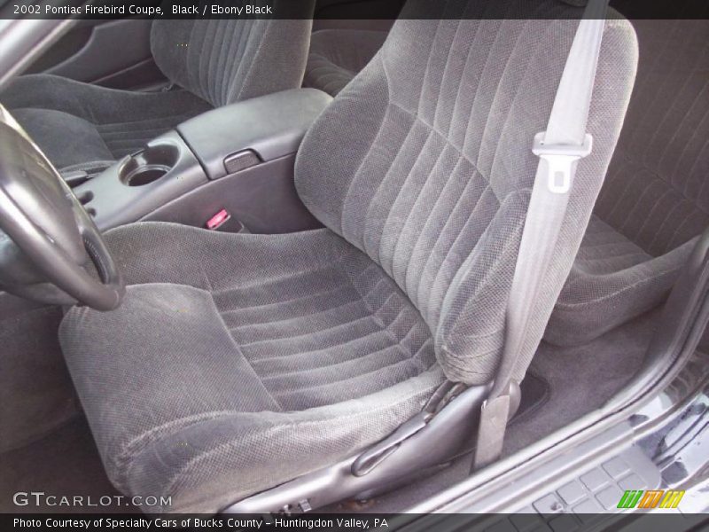 Black / Ebony Black 2002 Pontiac Firebird Coupe