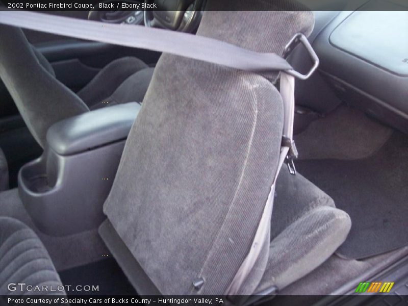 Black / Ebony Black 2002 Pontiac Firebird Coupe